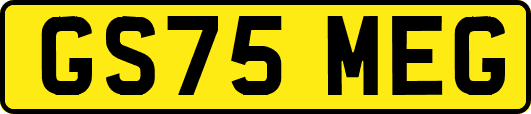 GS75MEG