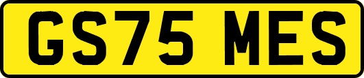 GS75MES