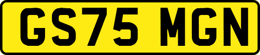 GS75MGN