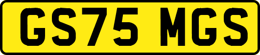 GS75MGS