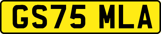 GS75MLA