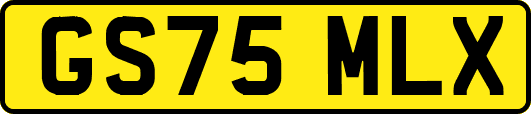 GS75MLX