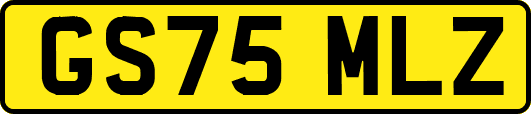 GS75MLZ