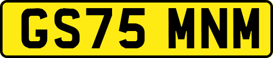 GS75MNM