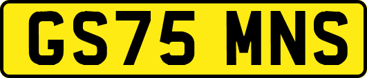GS75MNS