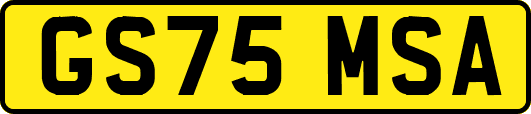 GS75MSA