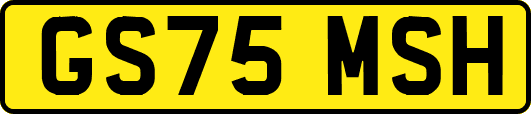 GS75MSH