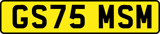 GS75MSM