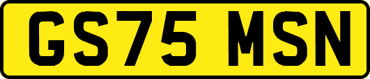 GS75MSN