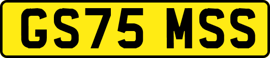 GS75MSS