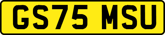 GS75MSU