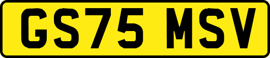 GS75MSV