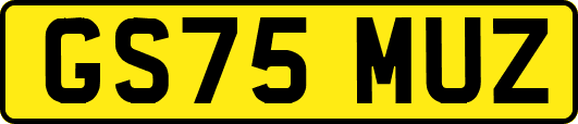GS75MUZ