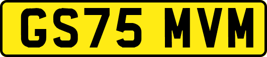 GS75MVM