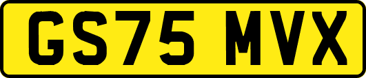 GS75MVX