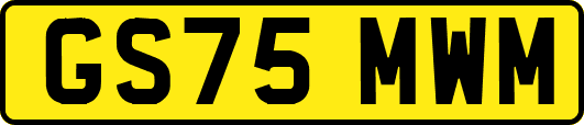 GS75MWM