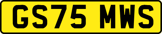 GS75MWS
