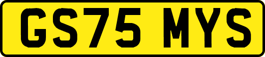 GS75MYS