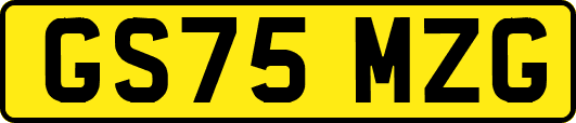 GS75MZG