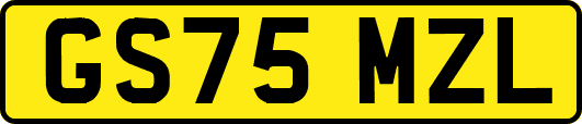 GS75MZL