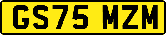 GS75MZM