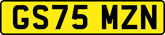 GS75MZN