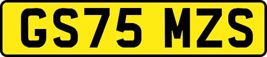 GS75MZS