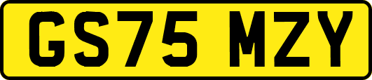 GS75MZY