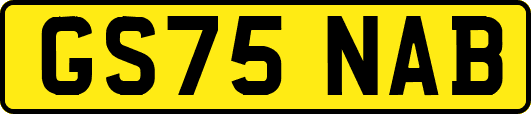 GS75NAB