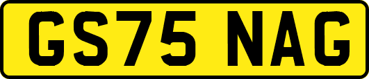GS75NAG