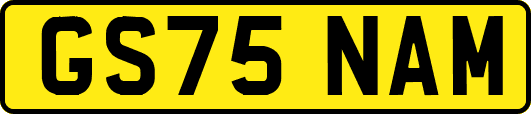 GS75NAM
