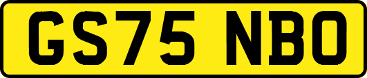 GS75NBO