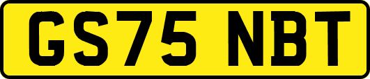 GS75NBT