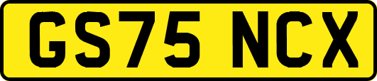 GS75NCX