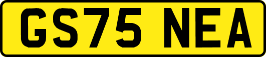 GS75NEA