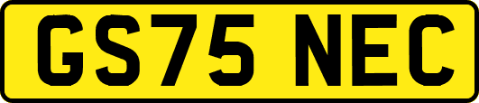 GS75NEC