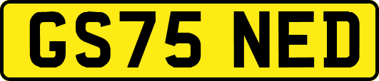 GS75NED