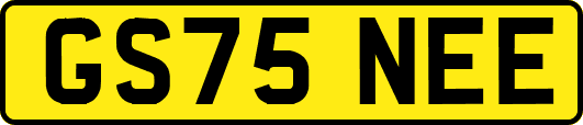 GS75NEE