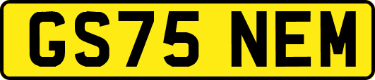 GS75NEM