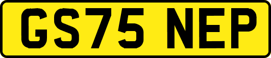 GS75NEP