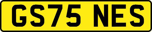 GS75NES