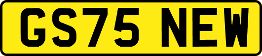 GS75NEW