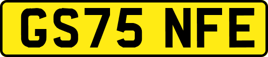 GS75NFE