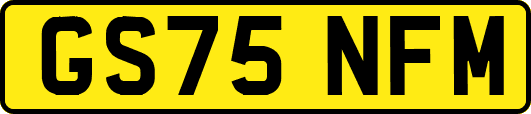 GS75NFM