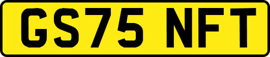 GS75NFT