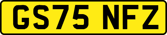 GS75NFZ