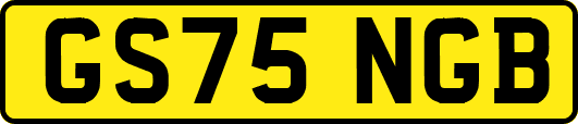 GS75NGB