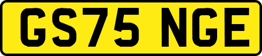 GS75NGE
