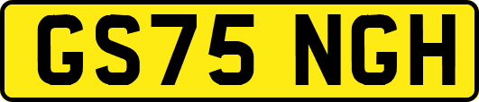 GS75NGH