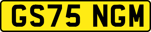 GS75NGM